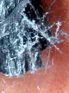 Asbestuntersuchung von Geb�uden: Krokydolithasbest