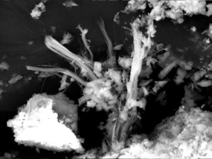 Chrysotilasbest in einer Asbestzementplatte im REM